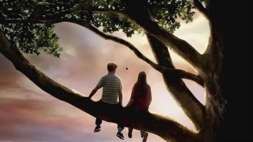 电影怦然心动在线观看,青春心跳的甜蜜旋律  第2张